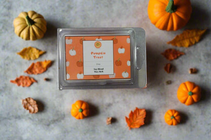 Pumpkin Treat Soy Blend Wax Melt