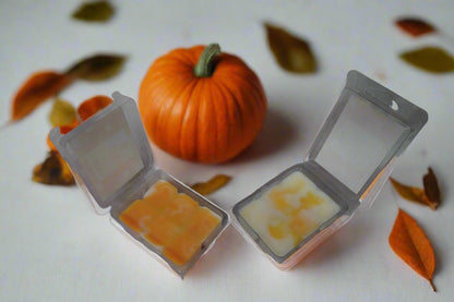 Pumpkin Treat Soy Blend Wax Melt